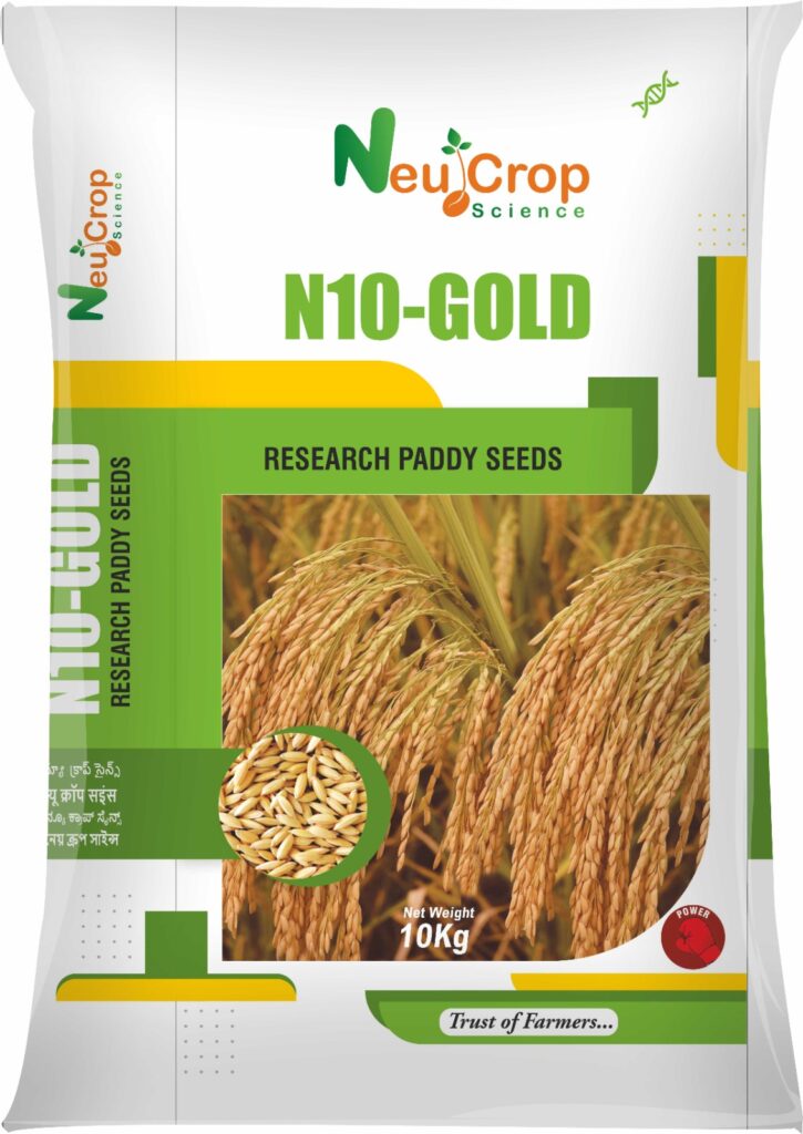N10 Paddy Seeds