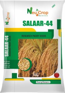 Salaar Paddy Seeds